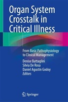 Daniel Agustin Godoy, Denise Battaglini, Silvia De Rosa, Daniel Agustin Godoy - Organ System Crosstalk in Critical Illness