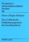 Hans-Jürgen Schmitt - Das Geldwäsche-Risikomanagement der Kreditinstitute