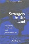 H. Svi Shapiro - Strangers in the Land
