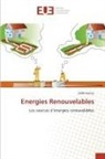 Saidi Hemza - Energies Renouvelables