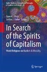 Jordan J. Ballor, Govert J. Buijs, J Ballor, Govert J Buijs - In Search of the Spirits of Capitalism