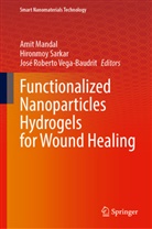 Amit Mandal, Amit Mandal, Amit Kumar Mandal, Roberto Vega-Baudrit, José Roberto Vega-Baudrit, Hironmoy Sarkar... - Functionalized Nanoparticles Hydrogels for Wound Healing