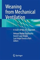 Antuani Rafael Baptistella, Daniel Lago Borges, Luis Felipe Fonseca Reis, Daniel Lago Borges, Luis Felipe Fonseca Reis - Weaning from Mechanical Ventilation