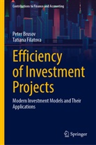 Peter Brusov, Tatiana Filatova - Efficiency of Investment Projects