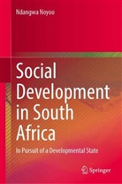 Ndangwa Noyoo - Social Development in South Africa