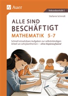 Stefanie Schmidt - Alle sind beschäftigt Mathematik 5-7