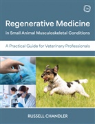 Russell Chandler - Regenerative Medicine in Small Animal Musculoskeletal Conditions