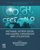 Mohammad Amin Makarem, Maryam Meshksar, Mohammad Reza Rahimpour - Advances and Technology Development in Greenhouse Gases: Emission, Capture and Conversion
