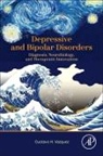 Gustavo H. Vazquez - Depressive and Bipolar Disorders