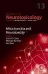 Mitochondria and Neurotoxicity: Volume 13