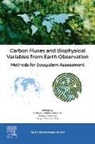 Manuel Campos-Taberner, Beatriz Martínez, Sergio Sánchez-Ruiz - Carbon Fluxes and Biophysical Variables from Earth Observation