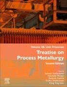 Roderick Guthrie, Alexander McLean, Sridhar Seetharaman, Seetharaman Seshadri, Sohn H. Y. - Treatise on Process Metallurgy, Volume 2B