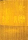 Alison Coplan, Jan Vorisek - Jan Vorisek: Private Fictions