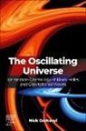 Nick Gorkavyi - The Oscillating Universe