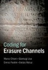 Marco Chiani, Gianluigi Liva, Balázs Matuz, Enrico Paolini - Coding for Erasure Channels