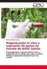 Hani Aridi, Paola Murillo-Gómez - Regeneración in vitro y expresión de genes en tomate de árbol común