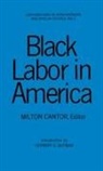 M. Cantor, Milton Cantor, Milton Cantor - Black Labor in America