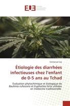 Emmanuel Issa, Prantik Mandal - Sismogenèse des séismes survenant dans la zone de rift de Kachchh, en Inde