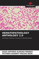 Jesus Antonio Almeida Mendez, Victoria Ashanty Macias Nava - HEMATOPATHOLOGY ANTHOLOGY 2.0