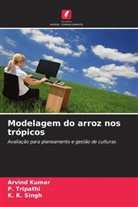 Arvind Kumar, K. K. Singh, P. Tripathi - Modelagem do arroz nos trópicos