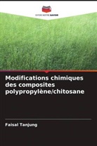 Faisal Tanjung - Modifications chimiques des composites polypropylène/chitosane