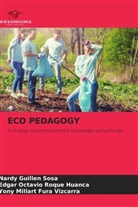 Yony Millart Fura Vizcarra, Nardy Guillen Sosa, Edgar Octavio Roque Huanca - ECO PEDAGOGY