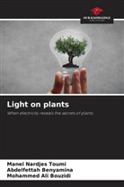Abdelfettah Benyamina, Mohammed Ali Bouzidi, Manel Nardjes Toumi - Light on plants
