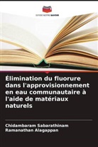 Ramanathan Alagappan, Chidambaram Sabarathinam - Élimination du fluorure dans l'approvisionnement en eau communautaire à l'aide de matériaux naturels