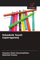 Chauhan Rinki Chandrajitbhai, J. Suresh Kumar, D. SHOBANA, Abhishek Shukla, I. Siddiq - Ethics in Research: A Doctoral Scholar's Companion