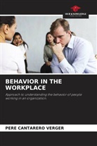 Pere Cantarero Verger - BEHAVIOR IN THE WORKPLACE