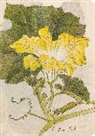 Tuttle Studio, . Tuttle Studio - Japanese Squash Blossom Lined Paperback Journal