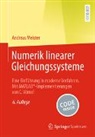 Andreas Meister - Numerik linearer Gleichungssysteme