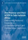 Sean Gossel - The Promise and Peril of FDI in Sub-Saharan Africa
