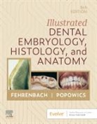 Fehrenbach Margaret J., Popowics Tracy - Illustrated Dental Embryology, Histology, and Anatomy