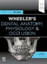 Nelson Stanley J. - Wheeler's Dental Anatomy, Physiology and Occlusion