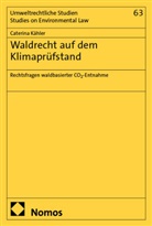 Caterina K&auml;hler - Waldrecht auf dem Klimapr&uuml;fstand