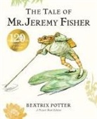 Beatrix Potter - The Tale of Mr. Jeremy Fisher Picture Book