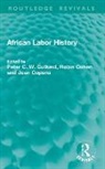 Robin Cohen, Jean Copans, Peter C. W. Gutkind - African Labor History