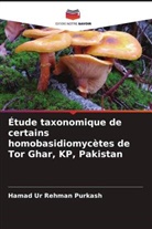 Hamad Ur Rehman Purkash - Étude taxonomique de certains homobasidiomycètes de Tor Ghar, KP, Pakistan