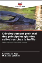 Kannekanti Raja, M. Santhi Lakshmi - Développement prénatal des principales glandes salivaires chez le buffle
