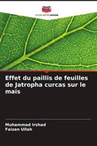 Muhammad Irshad, Faizan Ullah - Effet du paillis de feuilles de Jatropha curcas sur le maïs