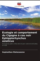 Gopinathan Maheswaran - Écologie et comportement du Cigogne à cou noir Ephippiorhynchus asiaticus