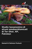 Hamad Ur Rehman Purkash - Studio tassonomico di alcuni omobasidiomiceti di Tor Ghar, KP, Pakistan