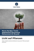 Abdelfettah Benyamina, Bouzid, Mohammed Ali Bouzidi, Manel Nardjes Toumi - Licht auf Pflanzen