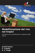 Arvind Kumar, K. K. Singh, P. Tripathi - Modellizzazione del riso nei tropici