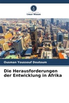Ousman Youssouf Doutoum - Die Herausforderungen der Entwicklung in Afrika
