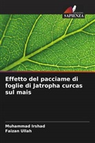 Muhammad Irshad, Faizan Ullah - Effetto del pacciame di foglie di Jatropha curcas sul mais