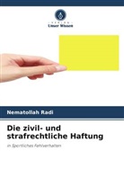 Parfait Muhani Mutsongo, Nematollah Radi - Die zivil- und strafrechtliche Haftung