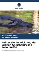 Kannekanti Raja, M Santhi Lakshmi, M. Santhi Lakshmi - Pränatale Entwicklung der großen Speicheldrüsen beim Büffel