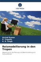 Arvind Kumar, K K Singh, K. K. Singh, P Tripathi, P. Tripathi - Reismodellierung in den Tropen
